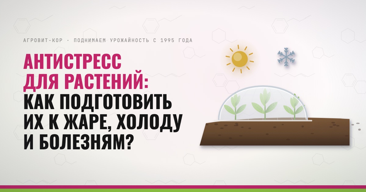 Антистресс для растений: как подготовить их к жаре, холоду и болезням? — иллюстрация к статье блога АГРОВИТ-КОР