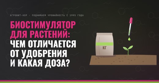 Биостимулятор для растений: чем отличается от удобрения и какая доза? — иллюстрация к статье блога АГРОВИТ-КОР