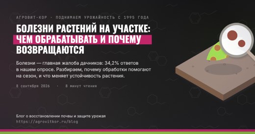 Болезни растений на участке: чем обрабатывать и почему возвращаются — иллюстрация к статье блога АГРОВИТ-КОР