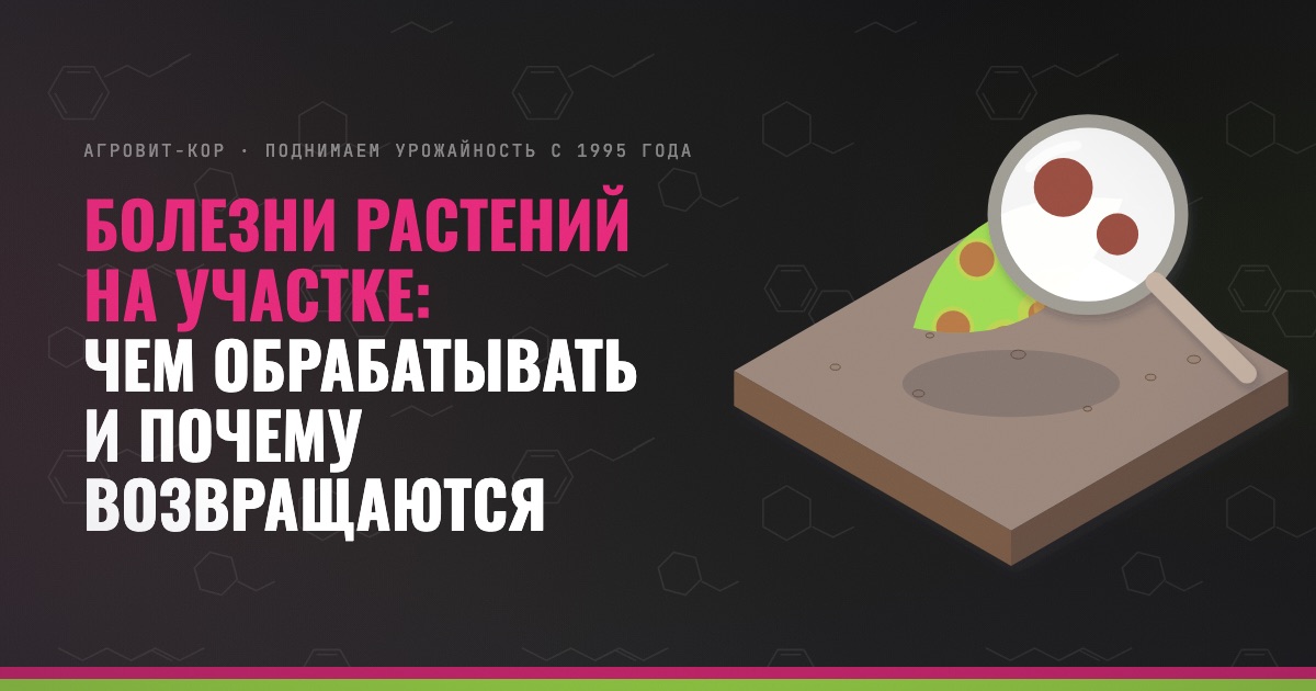 Болезни растений на участке: чем обрабатывать и почему возвращаются — иллюстрация к статье блога АГРОВИТ-КОР