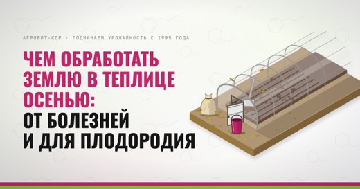 Чем обработать землю в теплице осенью: от болезней и для плодородия — иллюстрация к статье блога АГРОВИТ-КОР