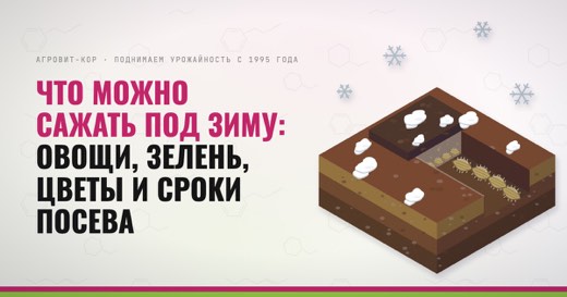 Что можно сажать под зиму: овощи, зелень, цветы и сроки посева — иллюстрация к статье блога АГРОВИТ-КОР