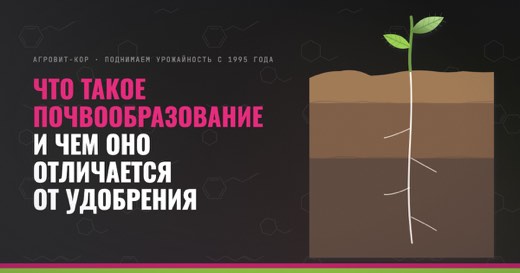 Что такое почвообразование и чем оно отличается от удобрения — иллюстрация к статье блога АГРОВИТ-КОР