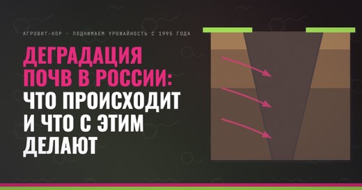 Деградация почв в России: что происходит и что с этим делают — иллюстрация к статье блога АГРОВИТ-КОР