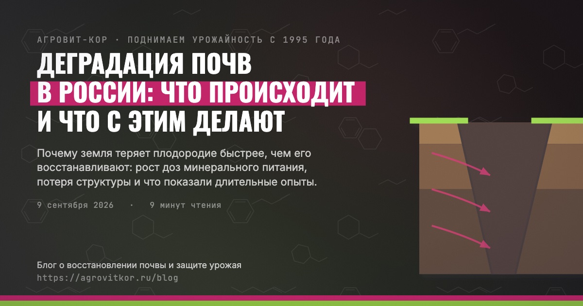 Деградация почв в России: что происходит и что с этим делают — иллюстрация к статье блога АГРОВИТ-КОР