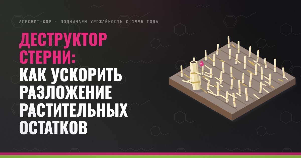 Деструктор стерни: как ускорить разложение растительных остатков — иллюстрация к статье блога АГРОВИТ-КОР