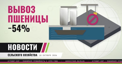 Экспорт пшеницы в октябре может упасть на 54%: что делать хозяйству — иллюстрация к статье блога АГРОВИТ-КОР