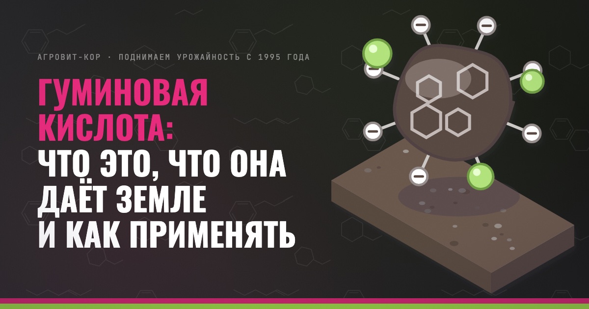 Гуминовая кислота: что это, что она даёт земле и как применять — иллюстрация к статье блога АГРОВИТ-КОР