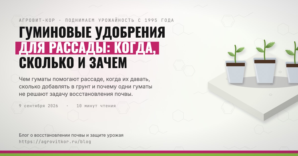 Гуминовые удобрения для рассады: когда, сколько и зачем — иллюстрация к статье блога АГРОВИТ-КОР
