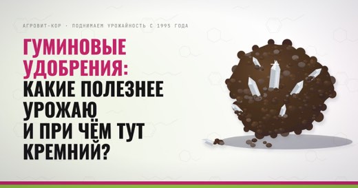 Гуминовые удобрения: какие полезнее урожаю и при чём тут кремний? — иллюстрация к статье блога АГРОВИТ-КОР
