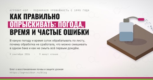 Как правильно опрыскивать: погода, время и частые ошибки — иллюстрация к статье блога АГРОВИТ-КОР