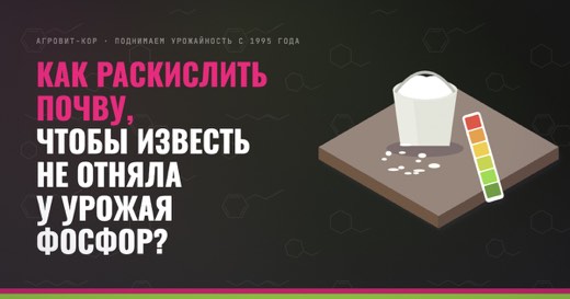Как раскислить почву, чтобы известь не отняла у урожая фосфор? — иллюстрация к статье блога АГРОВИТ-КОР