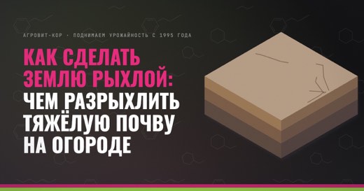 Как сделать землю рыхлой: чем разрыхлить тяжёлую почву на огороде — иллюстрация к статье блога АГРОВИТ-КОР
