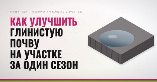 Как улучшить глинистую почву на участке за один сезон — иллюстрация к статье блога АГРОВИТ-КОР