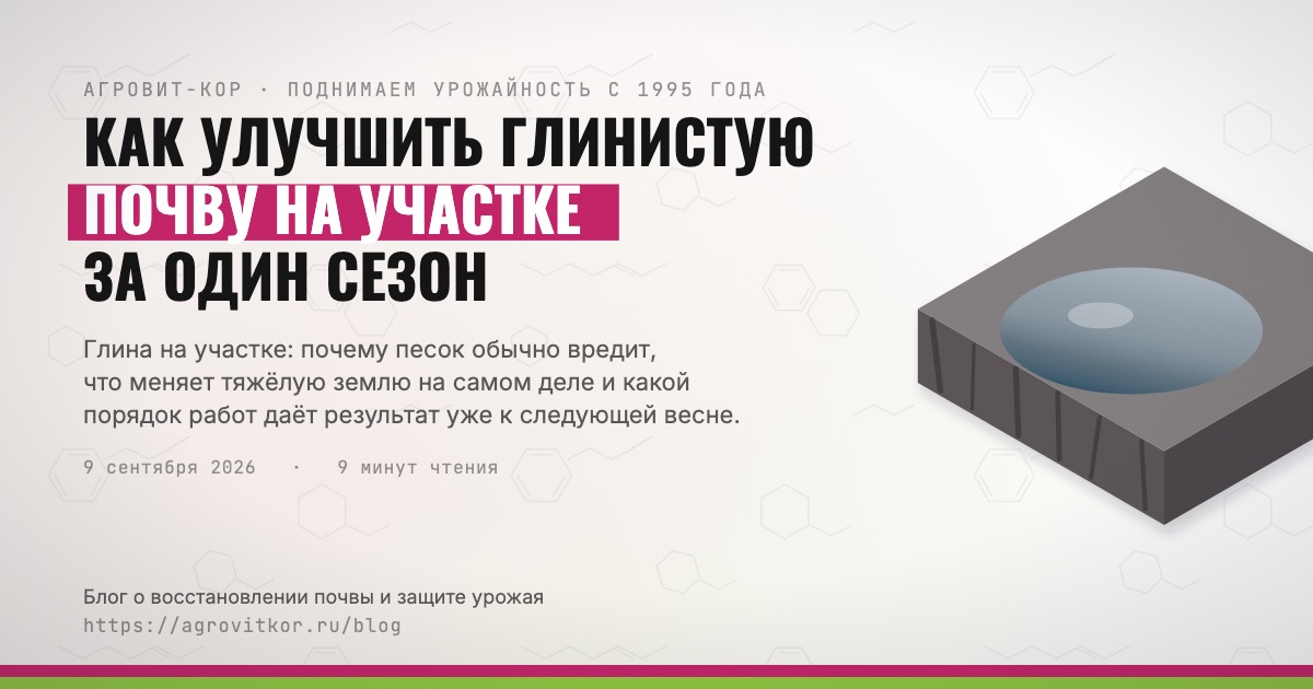 Как улучшить глинистую почву на участке за один сезон — иллюстрация к статье блога АГРОВИТ-КОР