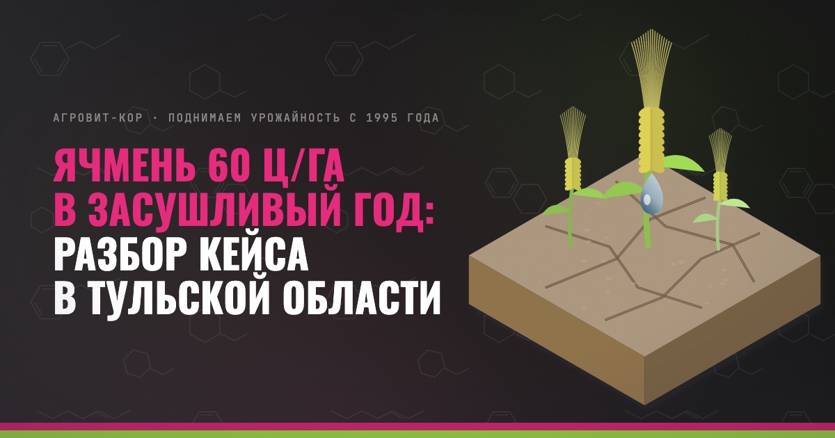 Ячмень 60 ц/га в засушливый год: разбор кейса в Тульской области — иллюстрация к статье блога АГРОВИТ-КОР