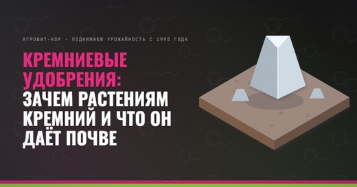 Кремниевые удобрения: зачем растениям кремний и что он даёт почве — иллюстрация к статье блога АГРОВИТ-КОР