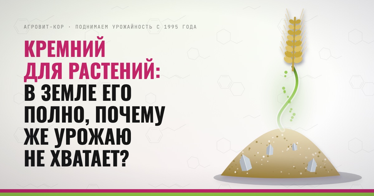 Кремний для растений: в земле его полно, почему же урожаю не хватает? — иллюстрация к статье блога АГРОВИТ-КОР
