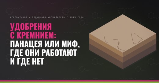 Удобрения с кремнием: панацея или миф, где они работают и где нет — иллюстрация к статье блога АГРОВИТ-КОР