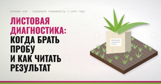 Листовая диагностика: когда брать пробу и как читать результат — иллюстрация к статье блога АГРОВИТ-КОР