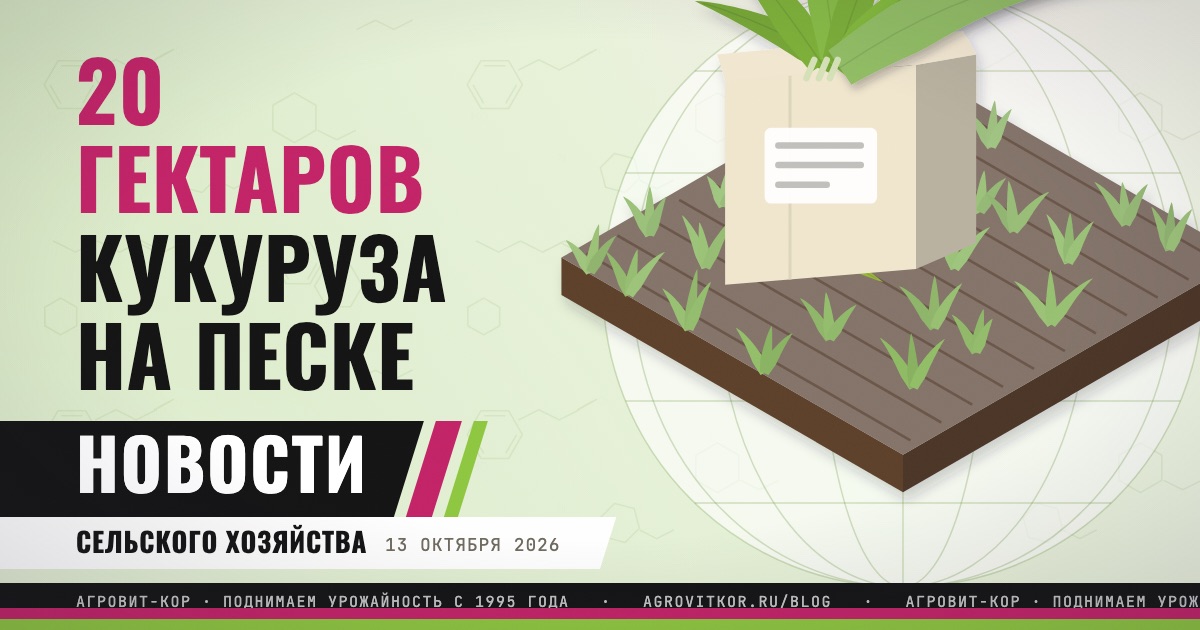 В Беларуси проверяют торф и шламы на песке: что взять хозяйству — иллюстрация к статье блога АГРОВИТ-КОР