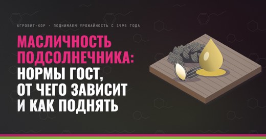 Масличность подсолнечника: нормы ГОСТ, от чего зависит и как поднять — иллюстрация к статье блога АГРОВИТ-КОР