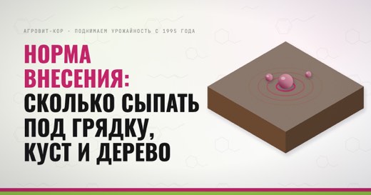 Норма внесения: сколько сыпать под грядку, куст и дерево — иллюстрация к статье блога АГРОВИТ-КОР