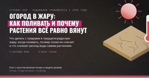 Огород в жару: как поливать и почему растения всё равно вянут — иллюстрация к статье блога АГРОВИТ-КОР
