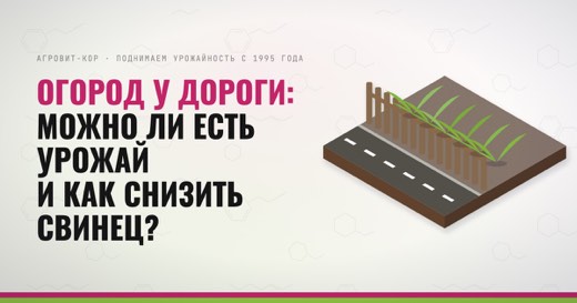 Огород у дороги: можно ли есть урожай и как снизить свинец? — иллюстрация к статье блога АГРОВИТ-КОР