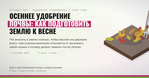 Осеннее удобрение почвы: как подготовить землю к весне — иллюстрация к статье блога АГРОВИТ-КОР