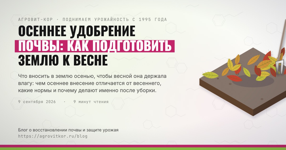 Осеннее удобрение почвы: как подготовить землю к весне — иллюстрация к статье блога АГРОВИТ-КОР