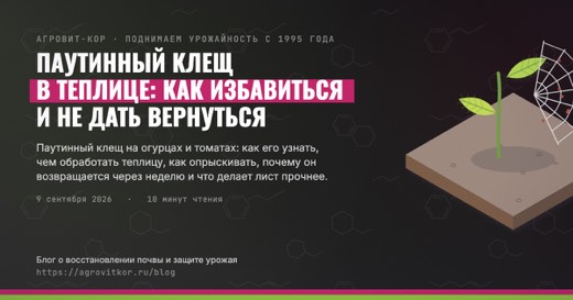 Паутинный клещ в теплице: как избавиться и не дать вернуться — иллюстрация к статье блога АГРОВИТ-КОР