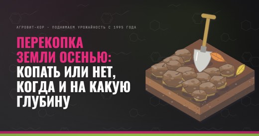 Перекопка земли осенью: копать или нет, когда и на какую глубину — иллюстрация к статье блога АГРОВИТ-КОР