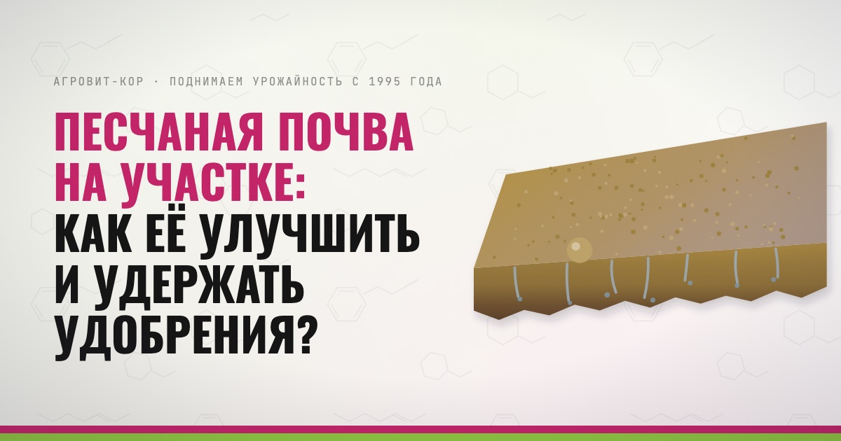 Песчаная почва на участке: как её улучшить и удержать удобрения? — иллюстрация к статье блога АГРОВИТ-КОР
