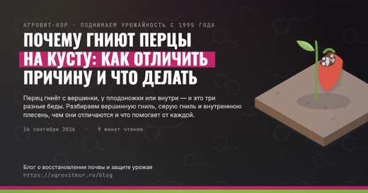 Почему гниют перцы на кусту: как отличить причину и что делать — иллюстрация к статье блога АГРОВИТ-КОР