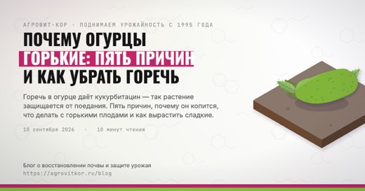 Почему огурцы горькие: пять причин и как убрать горечь — иллюстрация к статье блога АГРОВИТ-КОР