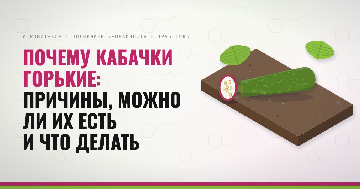 Почему кабачки горькие: причины, можно ли их есть и что делать — иллюстрация к статье блога АГРОВИТ-КОР