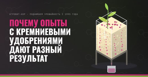 Почему опыты с кремниевыми удобрениями дают разный результат — иллюстрация к статье блога АГРОВИТ-КОР