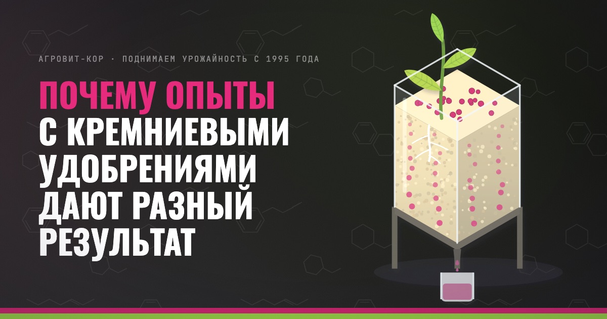 Почему опыты с кремниевыми удобрениями дают разный результат — иллюстрация к статье блога АГРОВИТ-КОР