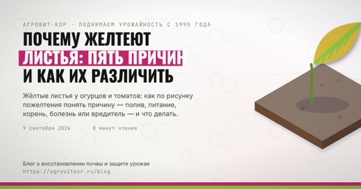 Почему желтеют листья: пять причин и как их различить — иллюстрация к статье блога АГРОВИТ-КОР