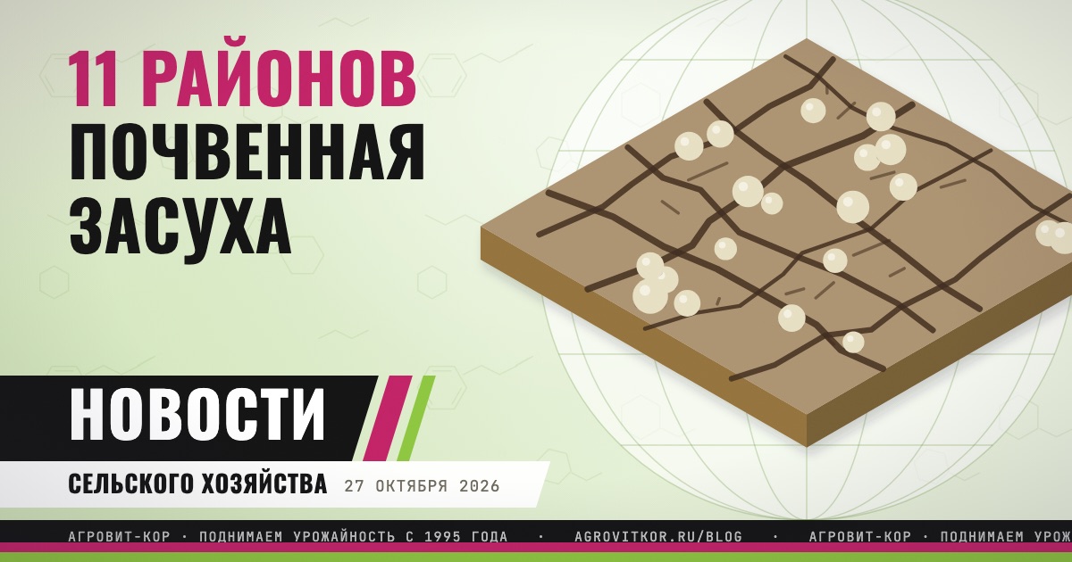 Почвенная засуха в 11 районах Дона: что делать с озимыми — иллюстрация к статье блога АГРОВИТ-КОР