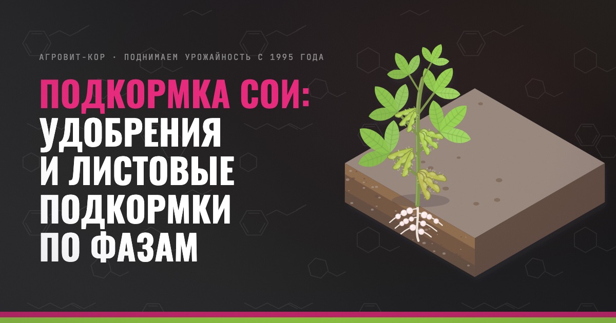 Подкормка сои: удобрения и листовые подкормки по фазам — иллюстрация к статье блога АГРОВИТ-КОР