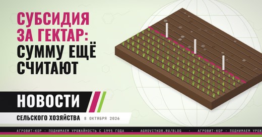 Субсидия за гектар озимых: сумму считают, ставка не названа — иллюстрация к статье блога АГРОВИТ-КОР