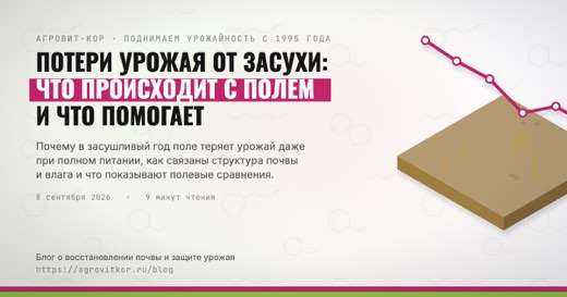 Потери урожая от засухи: что происходит с полем и что помогает — иллюстрация к статье блога АГРОВИТ-КОР