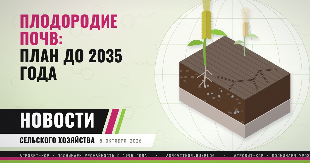 Программа повышения плодородия почв: что она значит для хозяйств — иллюстрация к статье блога АГРОВИТ-КОР