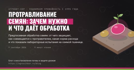 Протравливание семян: зачем нужно и что даёт обработка — иллюстрация к статье блога АГРОВИТ-КОР