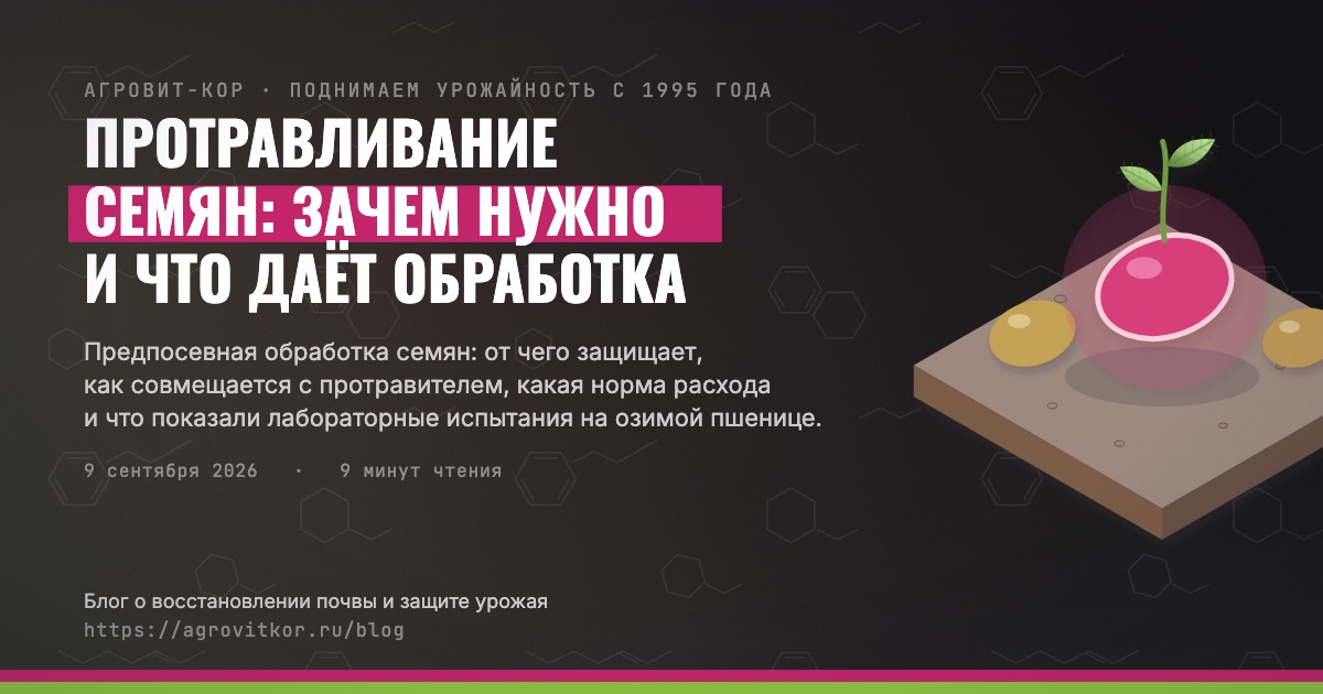 Протравливание семян: зачем нужно и что даёт обработка — иллюстрация к статье блога АГРОВИТ-КОР