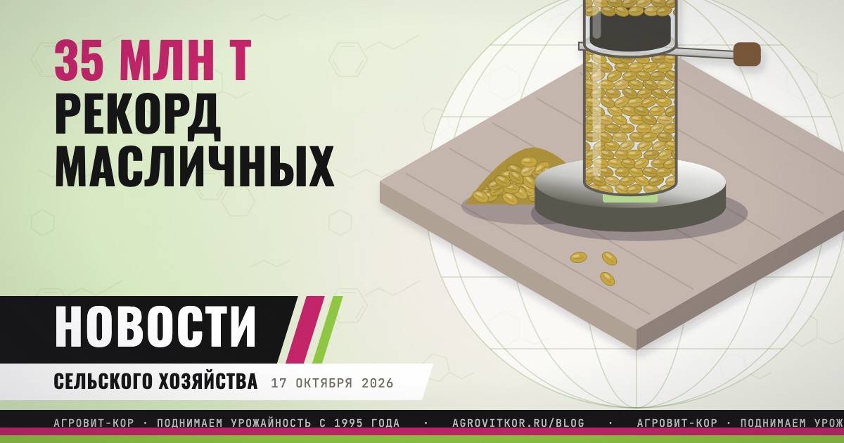 Рекордный сбор масличных в 2026 году: что это значит для хозяйства — иллюстрация к статье блога АГРОВИТ-КОР