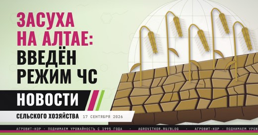 Засуха в Алтайском крае: режим ЧС и что он меняет для хозяйств — иллюстрация к статье блога АГРОВИТ-КОР