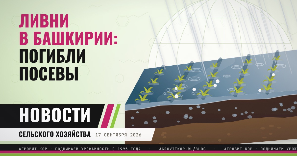 Режим ЧС в Башкирии: хозяйствам подать документы до 25 сентября — иллюстрация к статье блога АГРОВИТ-КОР